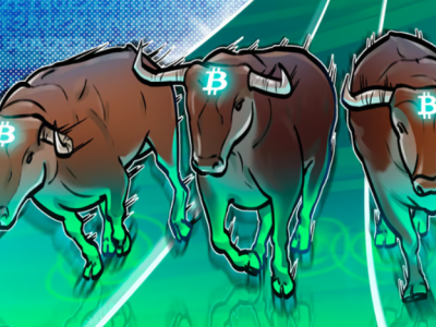 Will the next crypto bull run be dominated by L1s, L2s or something else?